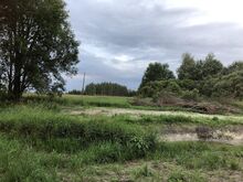 Kinnistu 1,7 ha
