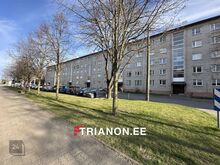 NB! Osa fotosid on töödeldud tehisintellekti abil