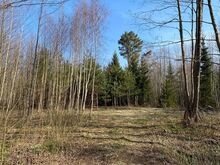 Ehitusvõimalusega kinnistu Hiiumaal