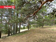 Läheduses uus ja eksklusiivne Kurro Loodus SPA