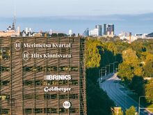 Merimetsa PESA