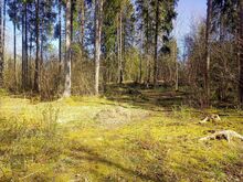 Müüa väga hea asukohaga suur 4019m2 kinnistu Suluperes