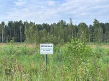 2,1ha suurune kinnistu Pärnu külje all