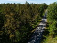 Männimetsaga kinnistu