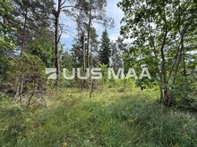 Elamumaa Vasalemma looduskaunis elukeskkonnas