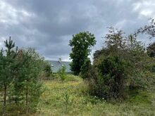 Müüa Neeme küla piiril suur, mereäärne kinnistu - 10 344 m2, millest katastrikaardi kohaselt 95