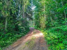 Müüa suured privaatsed elamukrundid Sakust 2,5km!