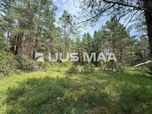 Elamumaa Vasalemma looduskaunis elukeskkonnas