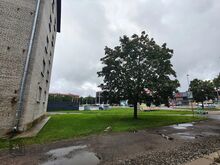 Oksjon: 2 tuba, Tallinna mnt 17-32, Narva