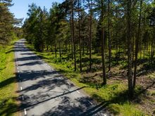 Männimetsaga kinnistu