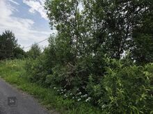 Pakkumisel on kaks kõrvutiasuvat kinnistut looduskaunis ja ajaloolises Kasepää alevikus,

otse ku