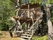 TREEHOUSES in the forest near Soela Harbour!