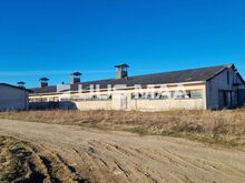 VANA LAUDAGA KINNISTU AASUVÄLJA KÜLAS