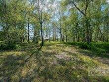 Müüa kõrghaljastusega kinnistu Harjumaal, Jõelähtme vallas, aadressil Tammiku tee 6, Uusküla