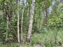 KÕRGHALJASTUSEGA KRUNT KODU EHITAMISEKS!