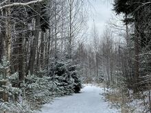 HIIUMAAL ELAMUKRUNDID KÄRDLA LÄHEDUSES!
