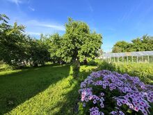 Müüa suvila aiandusühistus Energetik 3
