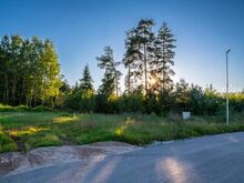 Suur metsaäärne elamukrunt