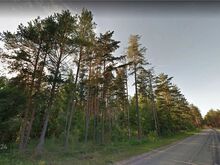 Imeilus männimets Pihkva järve kaldal.