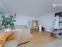 UUS HIND 45 000 €! KORTERI AKNAD IMEILUSA METSAVAATE POOLE!