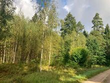Kinnistu Pöitse külas 3800.-