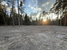 Privaatne elamukrunt männimetsa ääres