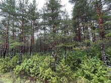 Kuivastu sadam 2,7 km kaugusel