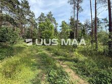 Elamumaa Vasalemma looduskaunis elukeskkonnas