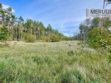 Kinnistu Mändjala metsade rüpes.