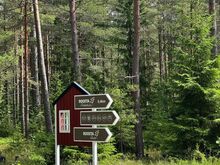 Idülliline  kinnistu Roosta roheluses!