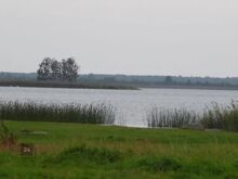Mere kaldal