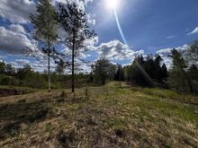 Eriline reljeefne krunt Pangodi lähistel!