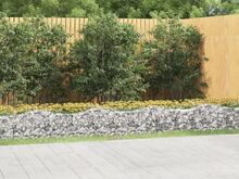 vidaXL kaarekujuline gabioon taimelava, 600x50x50 cm, tsingitud raud