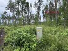 Peipsi järveni 400m!