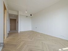 Metsvaated ja looduse rahu üheskoos!