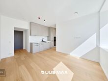 Kõrge tootlus / Airbnb võimalus