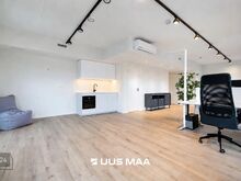 Mööbleeritud kontor Haaberstis garaažikohaga!