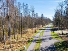 Kõrghaljastusega avar kinnistu BRYNCKIs