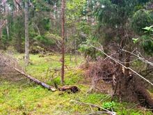 Liivarand vaid jalutuskäigu kaugusel