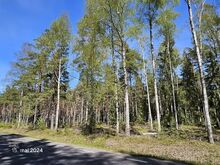 merelähedane maaüksus Elbikus