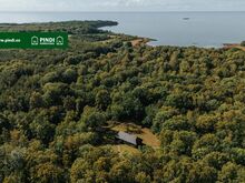 Peahoone koos kõrvalhoonetega suurel mereäärsel metsakinnistul
