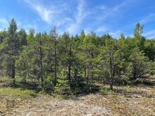 Ehitusvõimalusega kinnistu Kuressaarest 18km