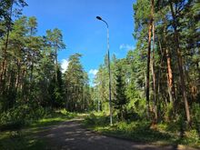 Müüa elamumaa kõrghaljastusega männimetsas