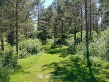 Metsamaa investeeringuks hea ligipääsuga