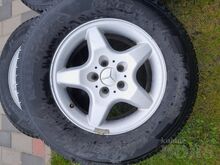 LAMELLREHVID R16 MERSU VELGEDEL