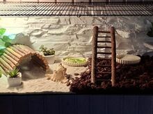 2 terraariumi soodushinnaga