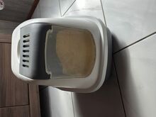 Kassitarbed