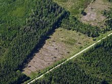 Metsamaa 3,59 ha – Saarde vald, Leipste küla
