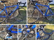 Schwinn maanteeratas