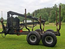 Metsahaagis